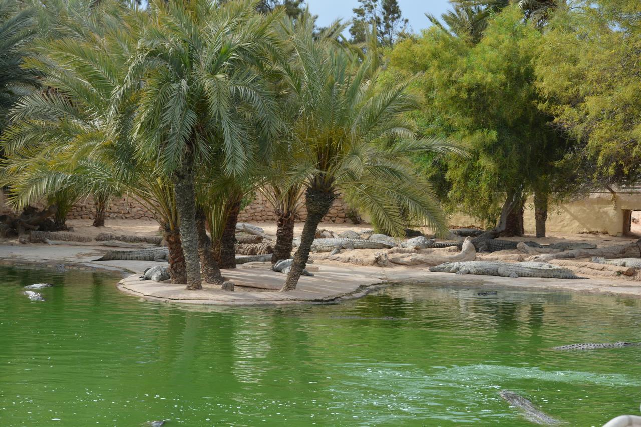 Menzel Churasco Djerba Aghīr Εξωτερικό φωτογραφία